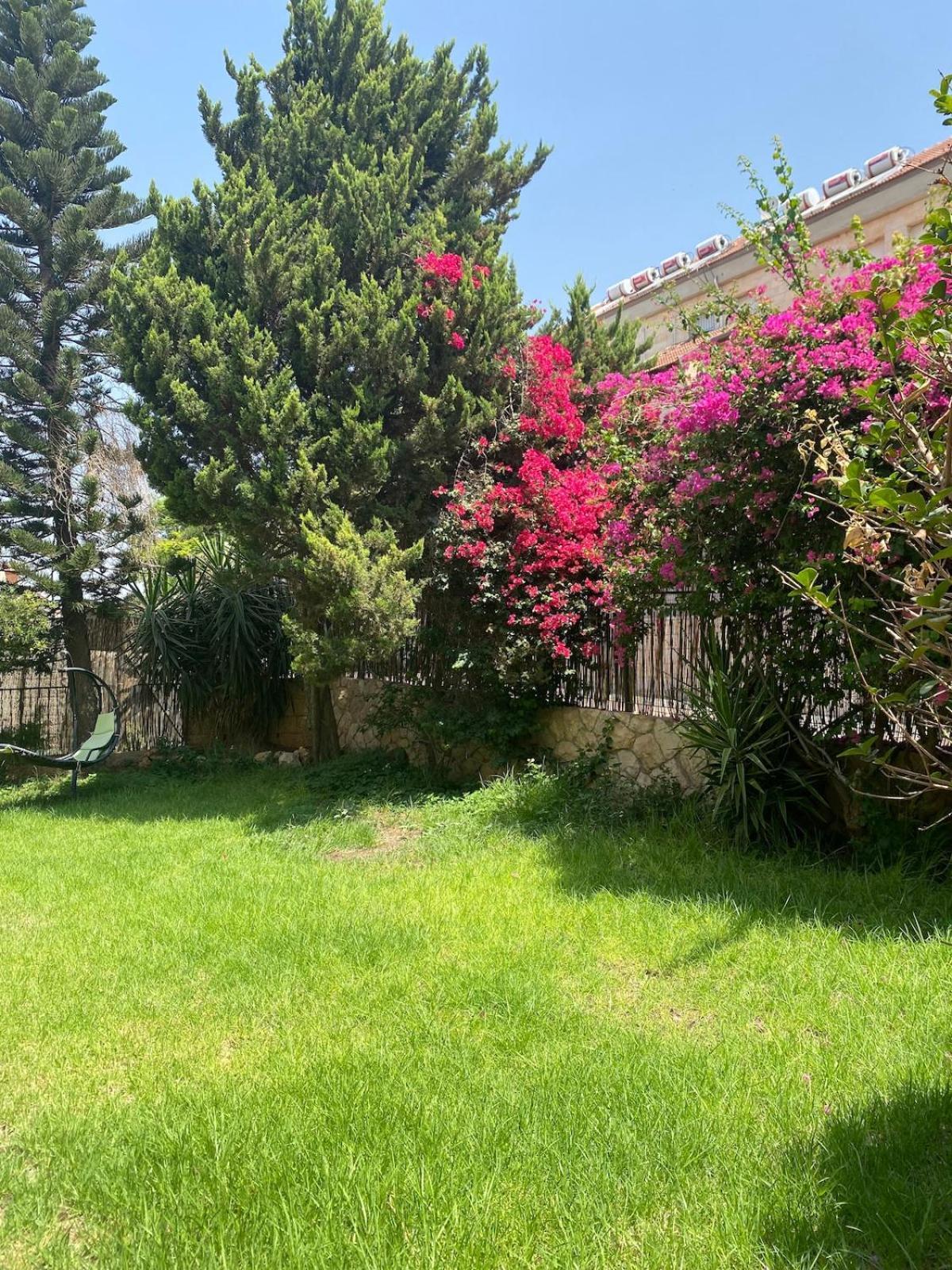 Ma'ale Adumimדירת גן מרווחת במיקום מעולה עם נטפליקס חינמי公寓 外观 照片